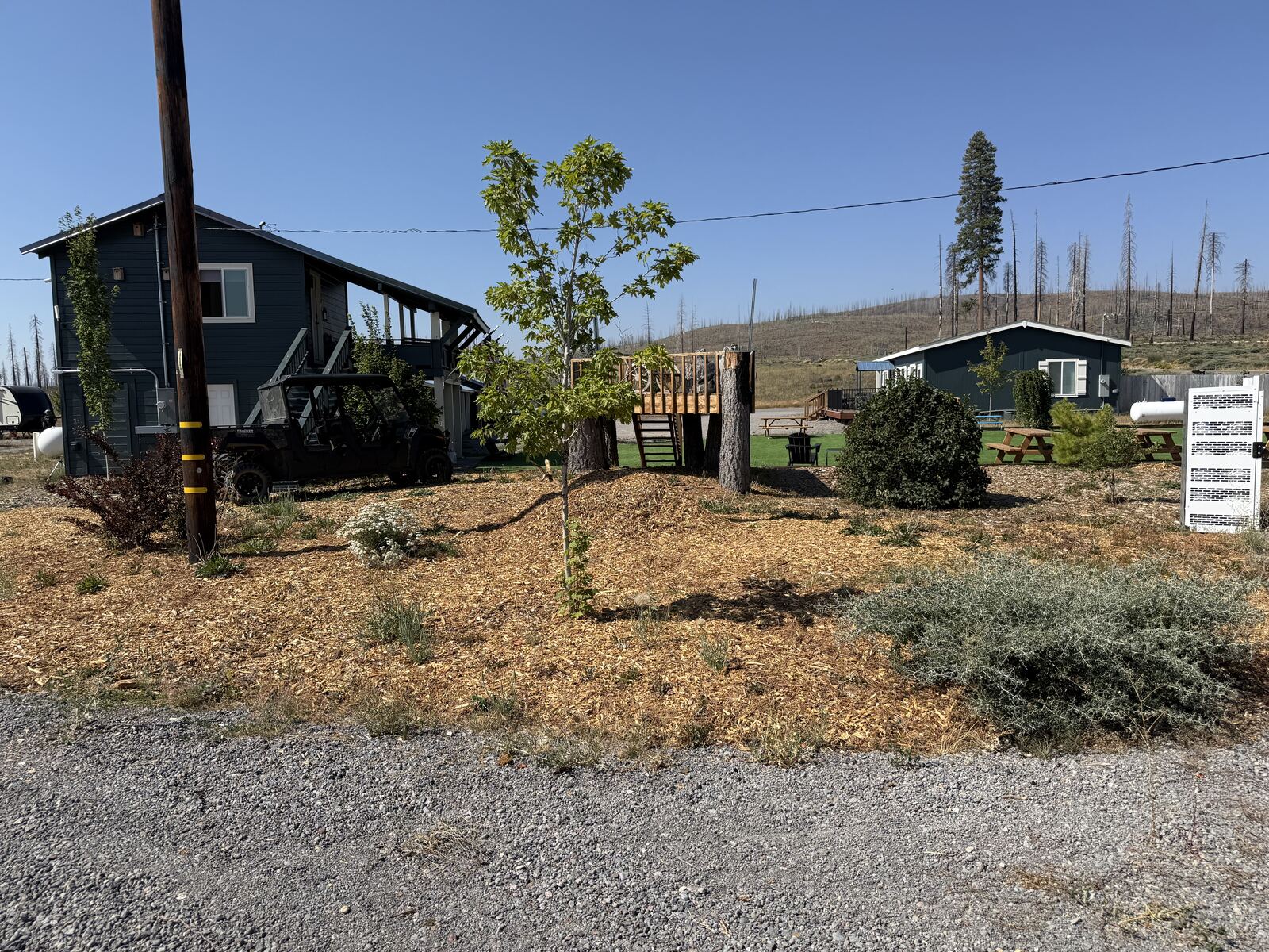 The grounds at Cedar Lodge: a treehouse with a ladder, mulch beds and young trees, the motel on the left and the house on the right, burned trees standing on the ridge behind.