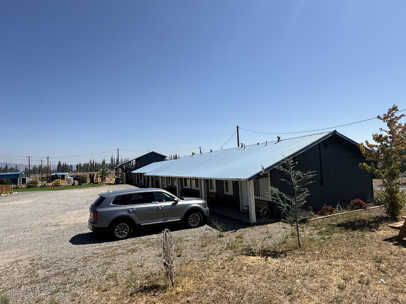 The motel building at Cedar Lodge, a long single storey row under a metal roof with a covered walkway along the front.